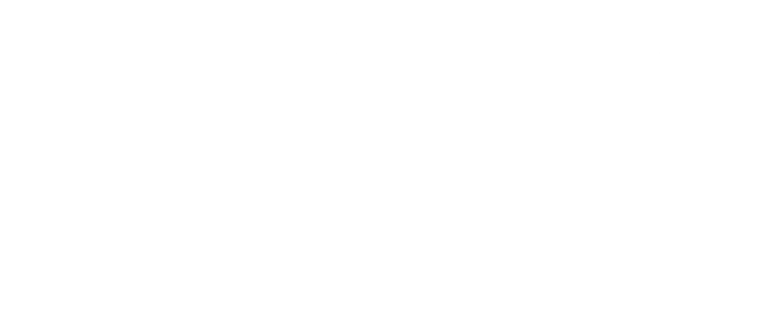 Logo Metaventas 2025 Blanco